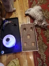 Bowl Cat-Fountain Water-Dispenser Pet-Dog Electric Automatic USB Mute