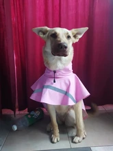 Puppy Raincoat Pets-Clothes Teddy Reflective-Tape Large XS-XXXL Bear-Big