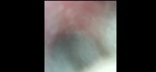 Lente de 5,5mm de Cable de 2m 3 en 1 para Android IOS TYPE-C de la cámara del endoscopio oído cuchara limpia Earpick otoscopio cámara para PC Windows