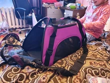 Bolsa de transporte portátil para perros y gatos, bolsa de malla transpirable para mascotas pequeñas, plegable, para tienda de viaje