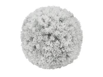 

EUROPALMS Pine ball, flocked, 30cm