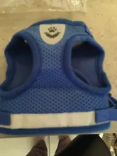 Vest Leash-Set Harness-Leads Puppy Yorkies Reflective Kitten Small Dogs Nylon Mesh And