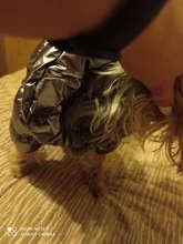 Ropa de abrigo para Perros Bulldog Francés, Ropa de cachorro, Chihuahua, yorkie, abrigo de perrito mascota, chaqueta, perros, mascotas