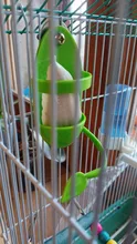 Parrot-Feeder Cage-Accessories Pet-Bird-Supplies Plastic Vegetable-Holder Food-Container