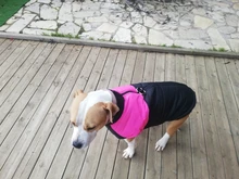 Chaleco impermeable para perros grandes y pequeños, abrigo cálido de invierno para cachorros, ropa para mascotas, 4XL, 5XL, nuevo