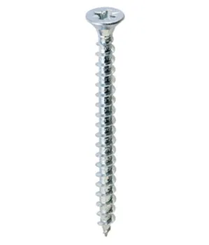 

10 00 WOOD SCREWS T.S.P. GALVANIZED 2,5X16
