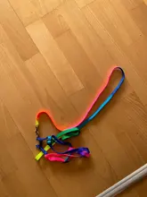 Collar ajustable para mascotas y gatos conjunto de Correa y arnés para gatos y perros, mascotas pequeñas, arcoiris de nailon, conejo, correa para perros Katten Halsband