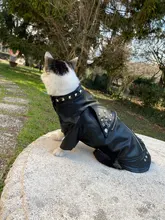 Pet Clothing Costumes Coat Kitten-Outfits Yorkshire Puppy Winter Warm Autumn for Chihuahua