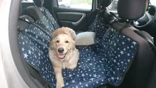 Fundas protectoras para asiento de Mascota para coche, alfombrilla para maletero de perro, Protector de transporte para gatos y perros, cojín para hamaca