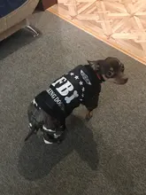 Hoodies Jacket Puppy French-Bulldog Small Dogs Waterproof Dog Chihuahua Winter Autumn