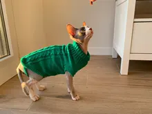 MPK-suéter SWA para gatos y perros pequeños, ropa para gatos, 12 opciones de colores + 6 tamaños para cada Color Da