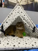 Jaula lavable para mascotas, tienda de campaña para perros, gatos, animales pequeños, tienda para mascotas, jaula transpirable lavable