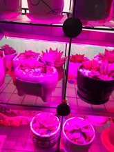 Infrarrojos/Bluetooth/WiFi LED luces de tira RGB 5050 2835 lámpara Flexible cinta con diodo DC 12V 5M 10M Control Remoto + adaptador