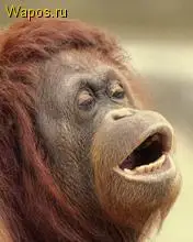 De moda Triskel Triskelion colgantes y collares para mujeres Acero inoxidable Allison Argent Teen Wolf collares para hombre, joyería de regalo