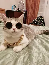 Necklace Pet-Accessories Photos-Props Cat-Chain Kitten Show-Off-Collar Gold Puppy Dogs