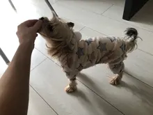 Mono para Perro suave y cálido, pijama de lana para mascotas, Ropa para perros, abrigo, chaqueta, Chihuahua, Yorkshire