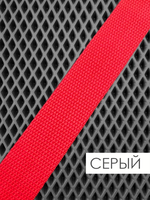 Mats in the Eva prime car for Nissan Tiida I, mats in the salon, car mats, mats, Eva mats, for the machine, Gray + red