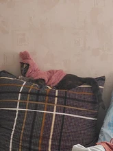 Ropa de Gato caliente para mascotas, abrigo, chaqueta para perros pequeños, medianos, gatos, Chihuahua, ropa de Yorkshire, disfraz rosa, S-2XL