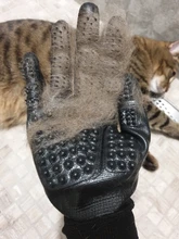 Gato de masaje de piel de caballo y perro, limpieza de baños, depilación flotante, guantes, herramienta de Limpieza del cabello, nuevos productos