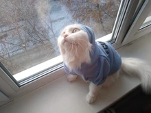 Cat Clothes Pet Cat Coats Jacket Hoodies For Cats Outfit Warm Pet Clothing Rabbit Animals
