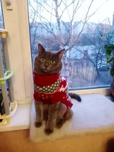 Antumn-ropa de invierno para gatos abrigo de suéter Katten para perros, disfraz de gato para perros pequeños, Chihuahua, Pugs, Bulldog francés