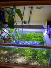 Superfino acuario con LEDs iluminación planta acuática luz 18-75CM Extensible impermeable Clip lámpara para tanque de peces 90-260V