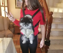 Gato bolsa frente mochila portador de chihuahua de perro de peluche mochila perros pequeños de mascotas productos para mascotas perros chien