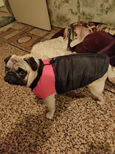 Vest Jacket Pets-Clothing Pug-Coat Puppy Dogs French Bulldog Waterproof Small Winter