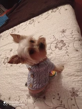 Sweater Puppy-Hoodie Dog-Jumper Winter Knited Small Cat with Cartoon-Design Warm Apparel