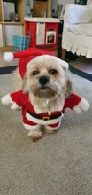 Christmas Pet Dog Cat Costumes Funny Santa Claus Costume For Dogs Cats Winter Warm Dog