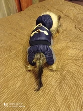 Jumpsuit Dogs Winter New for Jacket Pet-Coat Hooded Warm Thickening