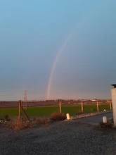 Dog-Training-Collar Shock Sound Electric Vibration Remote LCD 300m Waterproof with 