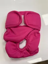 Pet-Physiological-Pants Underwear Diapers Dog Washable Female Short Puppy for Small Doggie