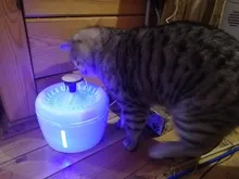 Bowl Cat-Fountain Water-Dispenser Pet-Dog Electric Automatic USB Mute