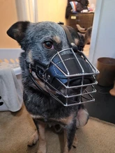 Canasto de alambre de Metal fuerte para perros grandes, bozal para morder, antimordedura, negro/marrón