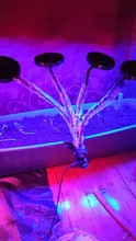Phyto-Lamp Control Flower Grow-Light Seedlings Full-Spectrum For Plants Indoor 5V LED