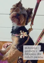 Harness Leash Chain Teddy Walking-Rope Collar Dog Small Medium Pet-Dog Classic Check