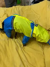 Jumpsuit Raincoat Pet-Cloak Teddy Waterproof-Jacket HOOPET Dogs Chihuahua for Small Cat