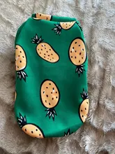 Cute Print Small Dog Hoodie Coat Winter Warm Pet Clothes for Chihuahua Shih Tzu Sweatshirt