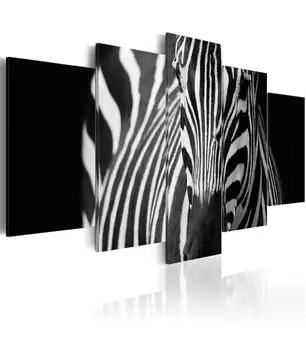 

Picture-zebra look