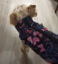 Puppy Vest Coat Clothing Jacket Dogs Chihuahua Waterproof Large Winter Medium Pet-Dog