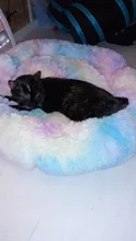 Cama de Gato supersuave, 14 colores, redonda, mullidas de gato, cesta para dormir, larga felpa, cálida, alfombrilla para mascotas, perrera ligera de tacto cómodo
