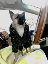 Jacket Clothing Puppy Small Dogs Waterproof Winter Overalls Pet-Coat Dog-Jumpsuit Fleece