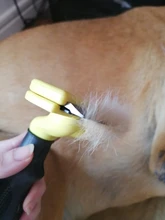 Peine de acero inoxidable para perros y mascotas, cepillo para quitar el pelo, herramienta de aseo para gatos, mango suave, accesorios para productos para mascotas #2