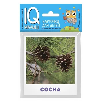 

A set of cards-smart baby, "trees" Iris-press 26093