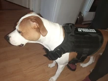 Conjunto de arnés y correa para perro táctico, chaleco para perro grande con hebilla de Metal, Pastor Alemán, arnés duradero para mascotas para entrenamiento de perros pequeños y grandes