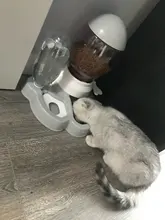 7 pocilga Gato tazón para comida de perro de tazones de alimentación 2 L perros de alimentación fuente de agua potable de 600ml Waterer gatito lento de cachorro