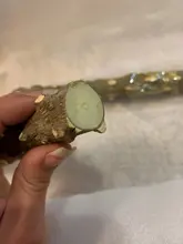 Soportes para loros de mascotas, plataforma de palo de perca, jaula de pata de molienda, juguete para morder colgante, producto para mascotas, jaula colgante