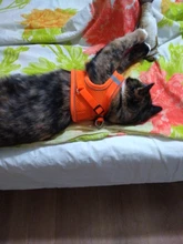 Reflectante cachorro gato arnés chaleco caminar perro ajustable Collar de gatito de malla de poliéster arnés para pequeño mediano perros