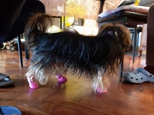 Zapatos antideslizantes para mascota de perro de lluvia, botas de goma impermeables para chihuahua, calzado para exteriores, calcetines para perro